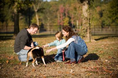 DogPark2